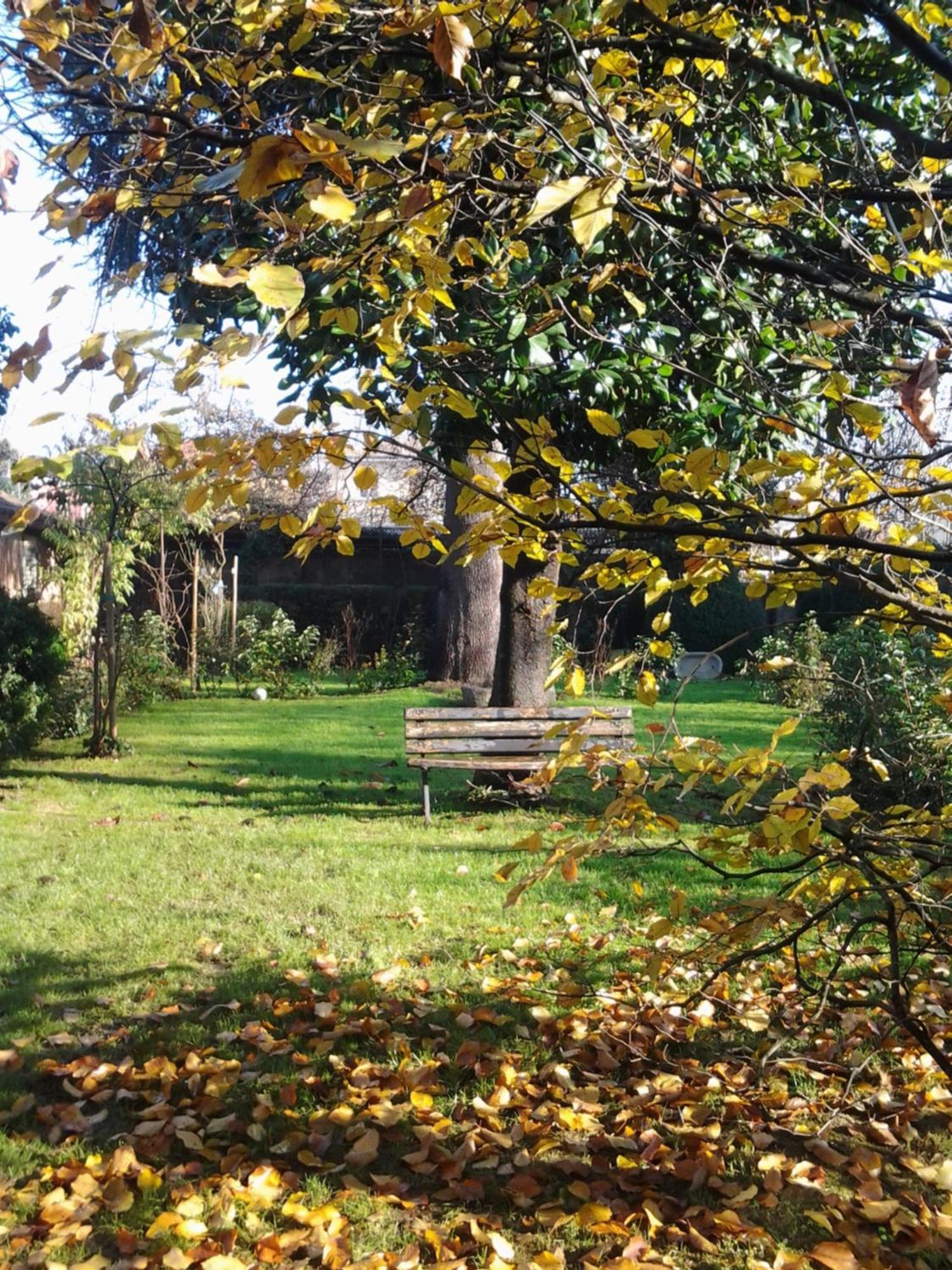 Il Pettirosso B&B Certosa di Pavia Εξωτερικό φωτογραφία