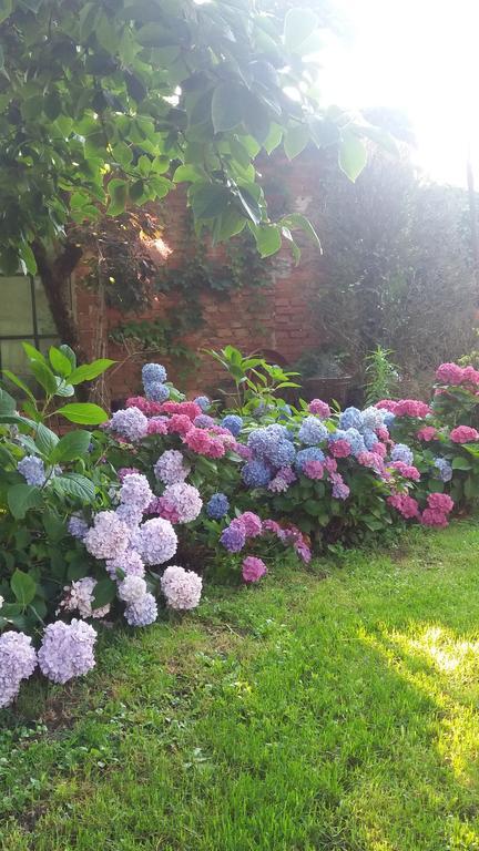 Il Pettirosso B&B Certosa di Pavia Εξωτερικό φωτογραφία