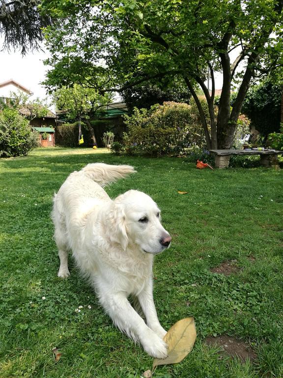 Il Pettirosso B&B Certosa di Pavia Εξωτερικό φωτογραφία